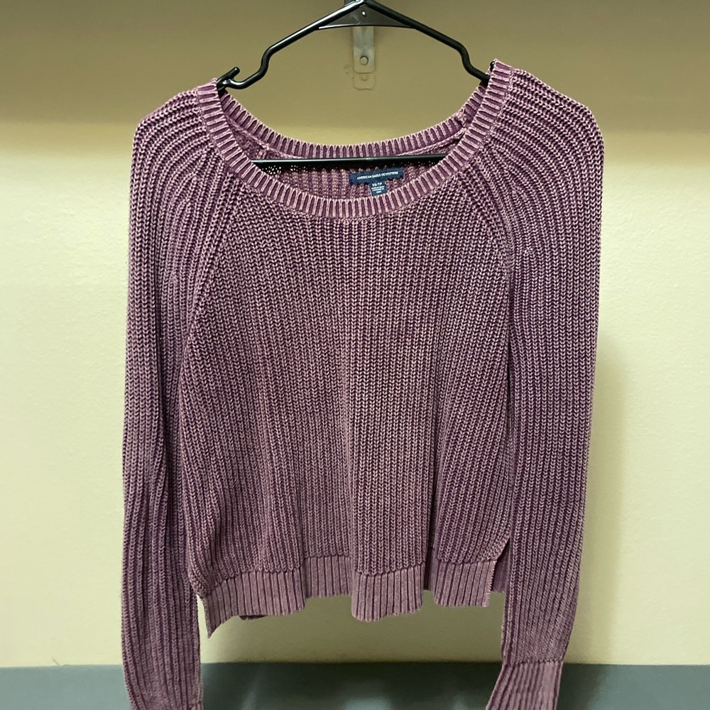 American Eagle Outfitters Purple Crew Neck Sweater